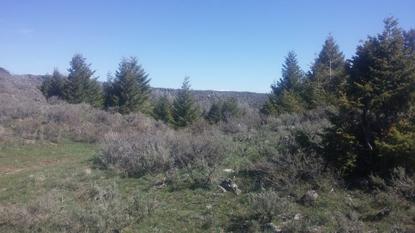 26,000 Acres, Kilgore, ID 83446